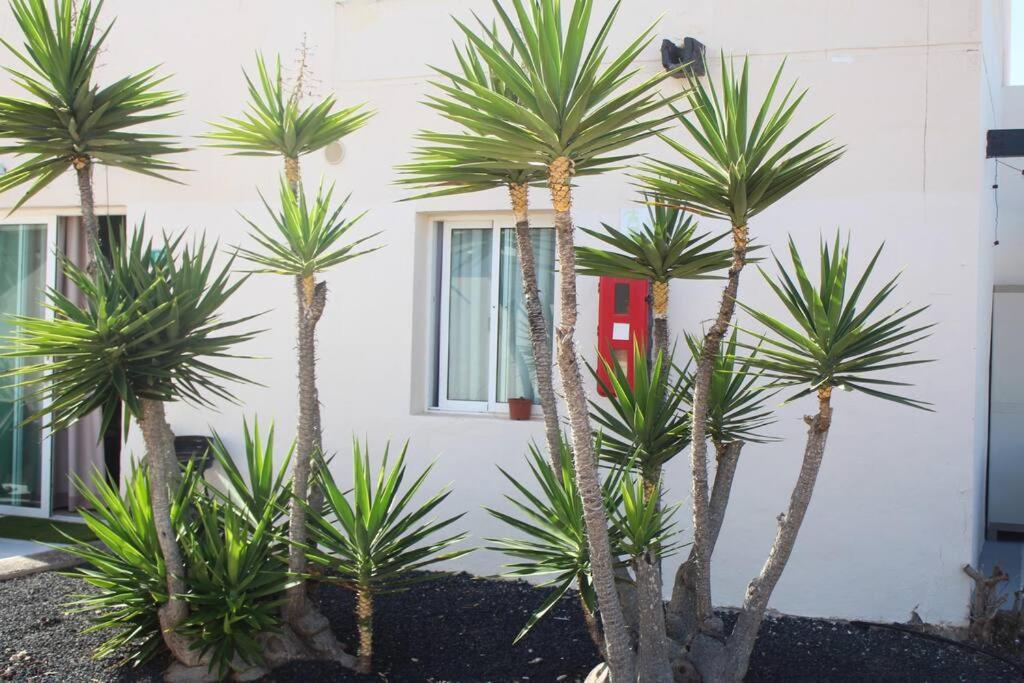 Pachi Beach Alisios Playa Corralejo Luaran gambar